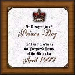 Pamered Prince of the month!