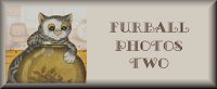 Furball Photos 2