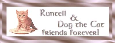gift from Runtell