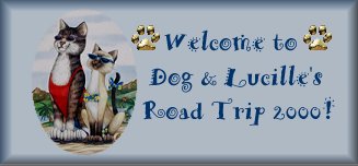 Welcome to Dog and Lucille's summer road trip!