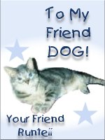 another purresent!