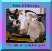 Simba & Baloo's Award