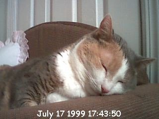 Sleepy Hope