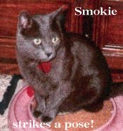 Smokie