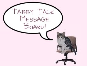 Welcome to Tabby Talk!