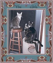 Zena, Scraps, and Bonique