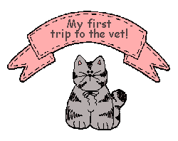 My first trip to the vet