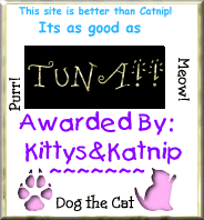 Kitty's & Katnips Award