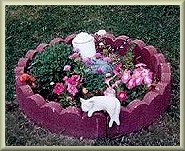 garden cat