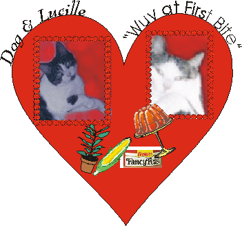 lucille's Valentine's Card