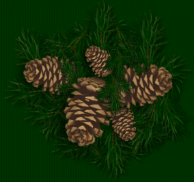 pinecone cluster