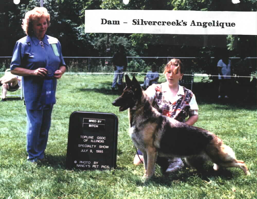 Dam:  Silvercreek's Angelique