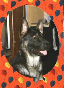 Kody