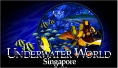 ASIA's Largest Underwater World