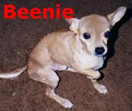 Beenie