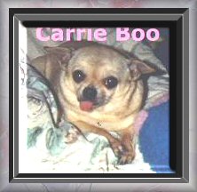CarrieBoo