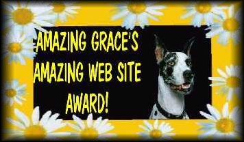 grace_award
