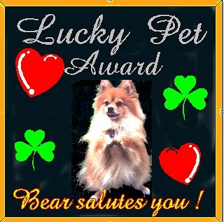 luckypet_award