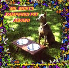 moet_award