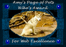 niko_award