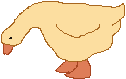 goose
