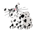 A rabbit
