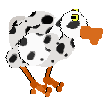 A duck