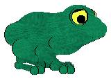 A bird