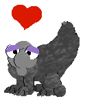 Honker loves Quadrupus