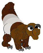 A bird