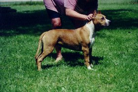 sadie.jpg (21351 bytes)