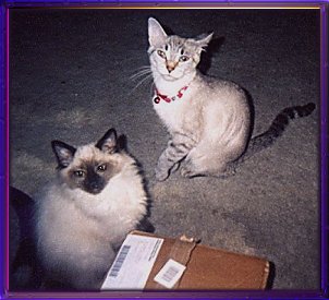 Dion & Nala