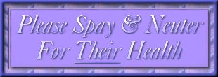 spay/neut
