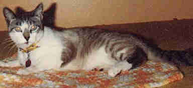 Tobey1