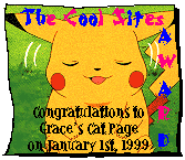 'Cool Sites' award