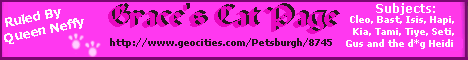 'Grace's Cat Page Banner'