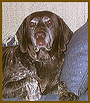 Heidi here 'the real and only boss'