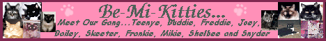 Be-Mi-Kitties...Homepage