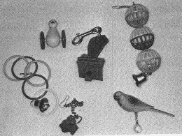 bird accessories
