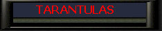 Tarantulas.jpg