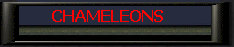 Chameleons.jpg