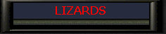 Lizards.jpg