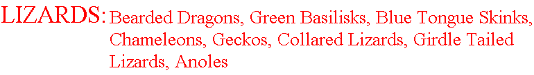Lizards Available.gif