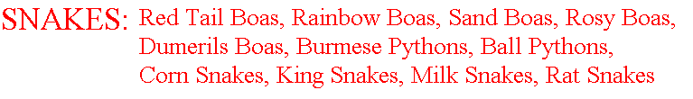 Snakes Available.gif