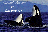 Karen's Award of Excellence