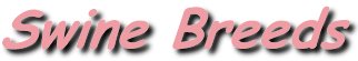 Swine Breeds