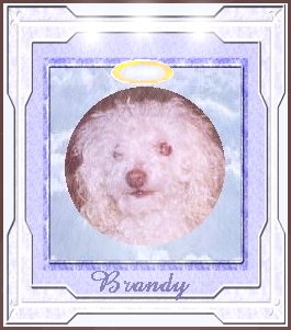 [Brandy]