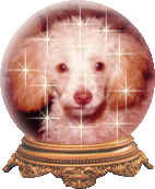 [Brandy's Globe]