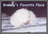 [Brandy]