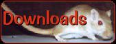 Gerbil Downloads